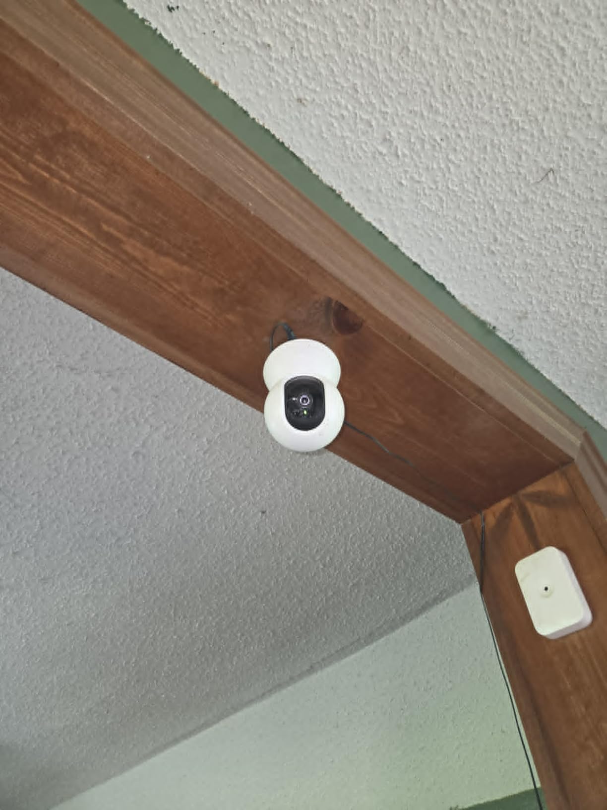 Tapo 1080p Pan/Tilt Security Camera for Baby Monitor, Pet Camera, C200 customer photo 1