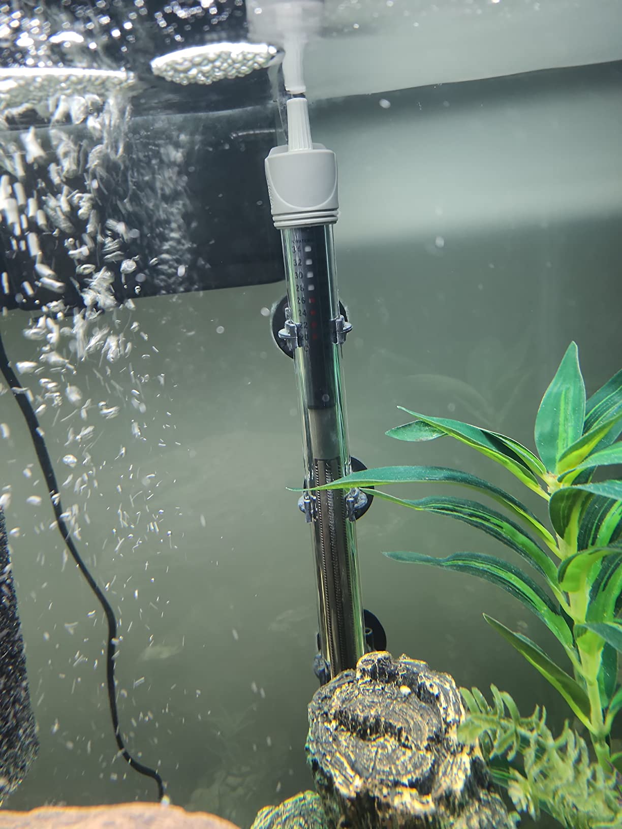 HITOP 300W Adjustable Aquarium Heater, Submersible Fish Tank Heater Thermostat with Suction Cups for 45-65Gal customer photo 1