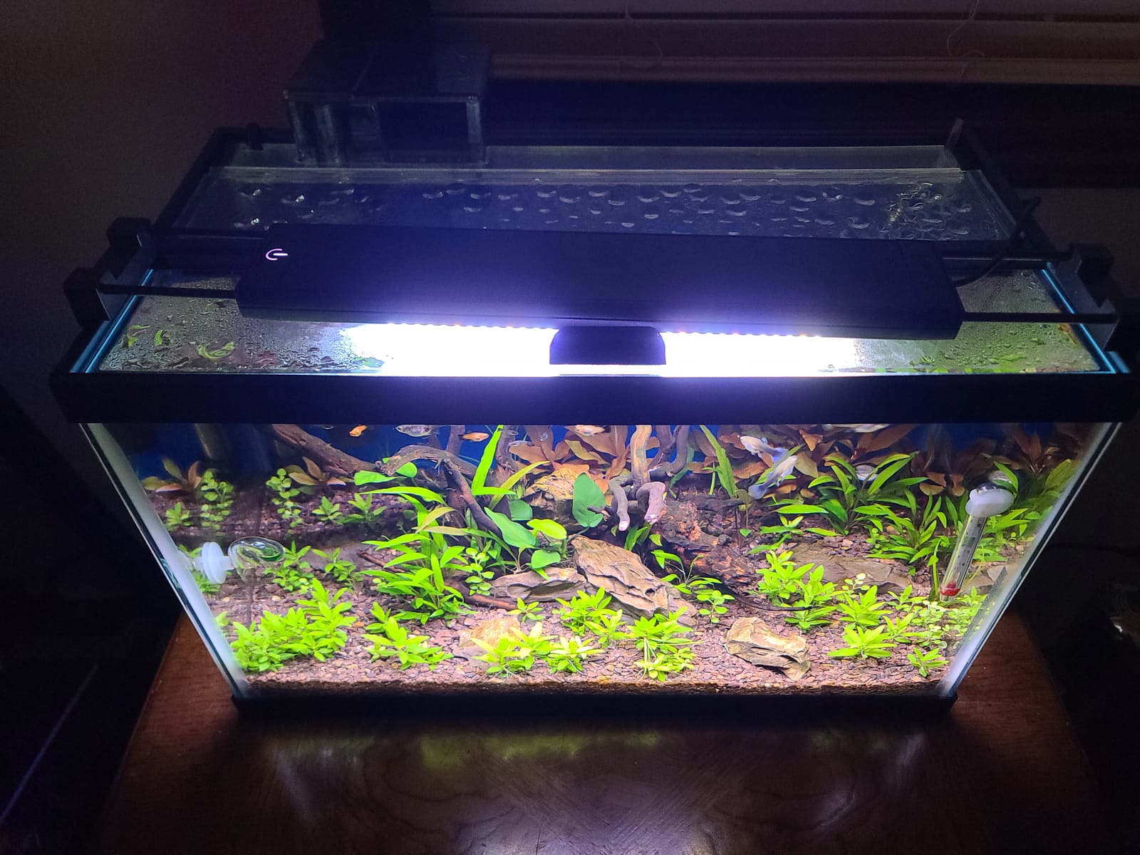Fluval Plant 3.0 LED Planted Aquarium Lighting, 22 Watts, 15-24 Inches customer photo 2