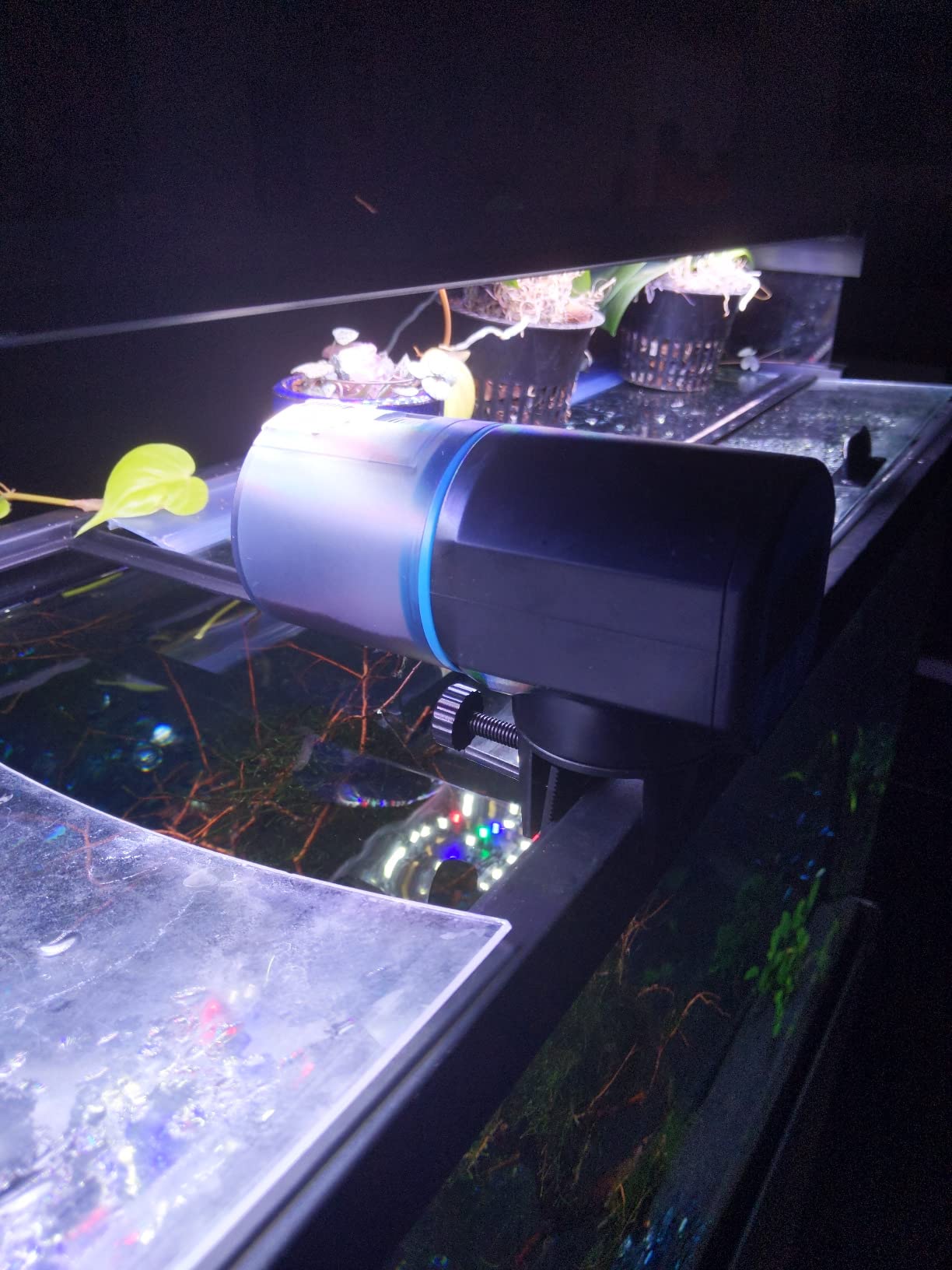 Lukovee Automatic Fish Feeder, Feeding Time Display, 200ML Capacity, USB customer photo 2