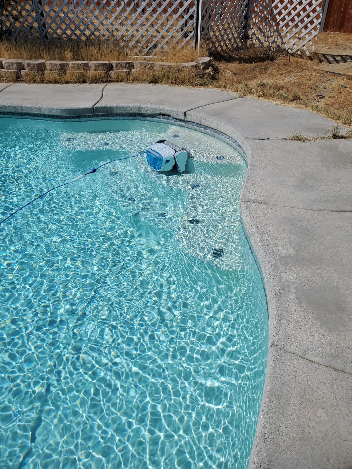 Dolphin Proteus DX5i Wi-Fi Automatic Robotic Pool Vacuum Cleaner, Wall Climbing, Waterline Scrubber Brush, Ideal for In-Ground Pool up to 50 FT in Length customer photo 1