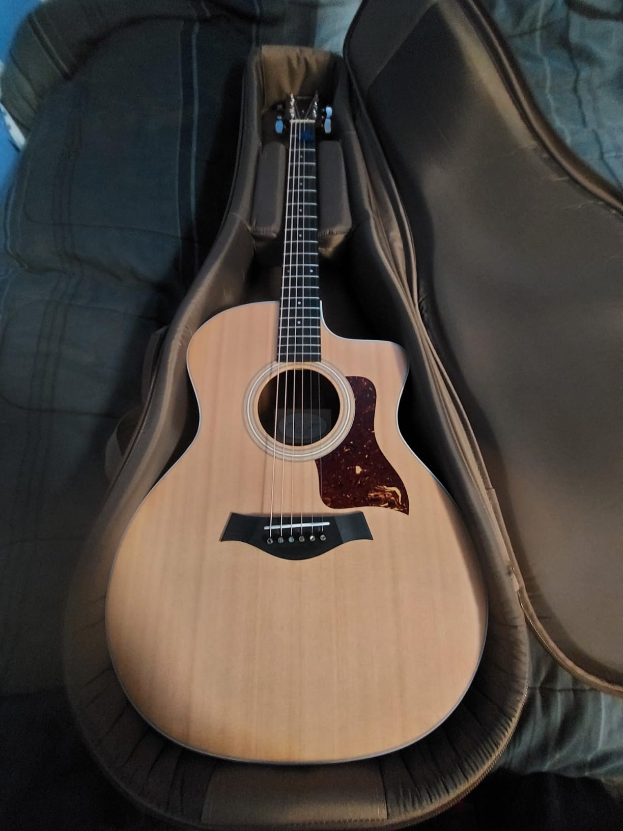 Taylor 214ce-K Acoustic-electric Guitar - Natural customer photo 1