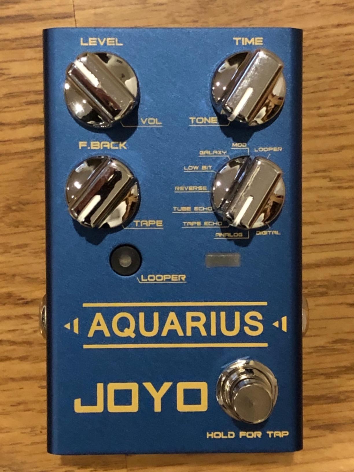 JOYO Multi-Mode Delay & Looper Guitar Pedal, 8 Effects incl. Galaxy/Tape Echo with Tap Tempo & 5-Min Loop, Bypass (Aquarius R-07) customer photo 2