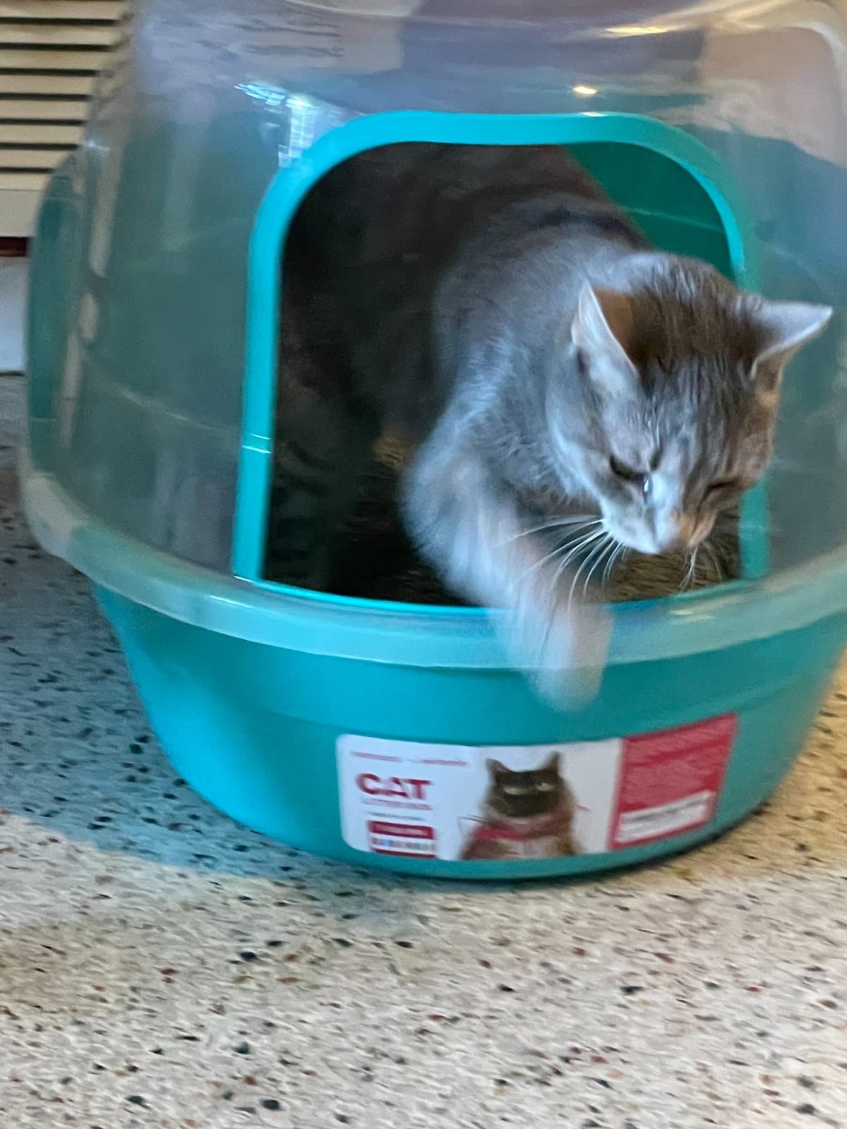 Petphabet Jumbo Hooded Cat Litter Box, Extra Large Gray customer photo 1