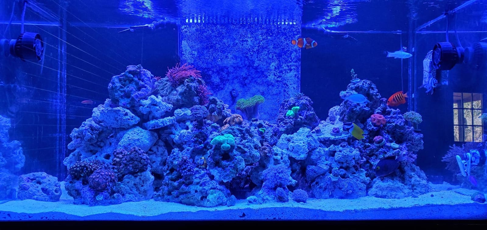 Jebao SLW-30 Aquarium Wavemaker, 3,434 GPH customer photo 1