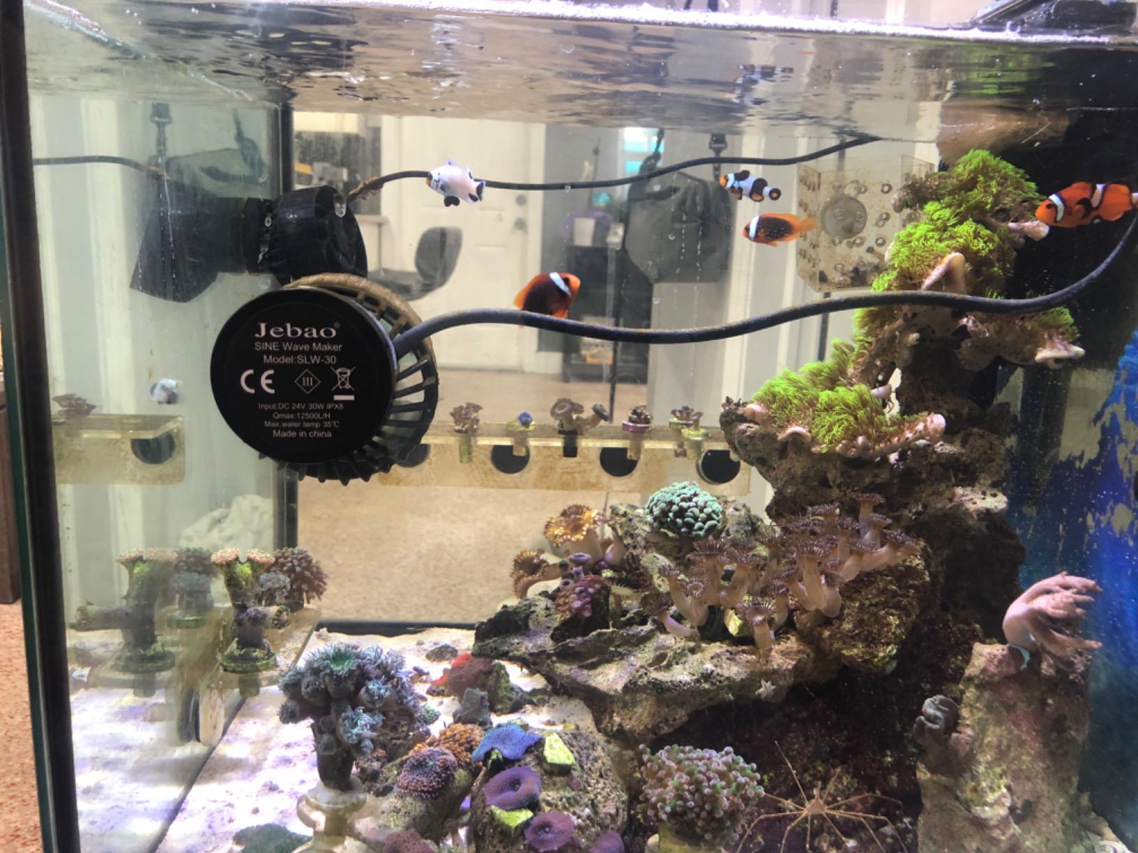 Jebao SLW-30 Aquarium Wavemaker, 3,434 GPH customer photo 2