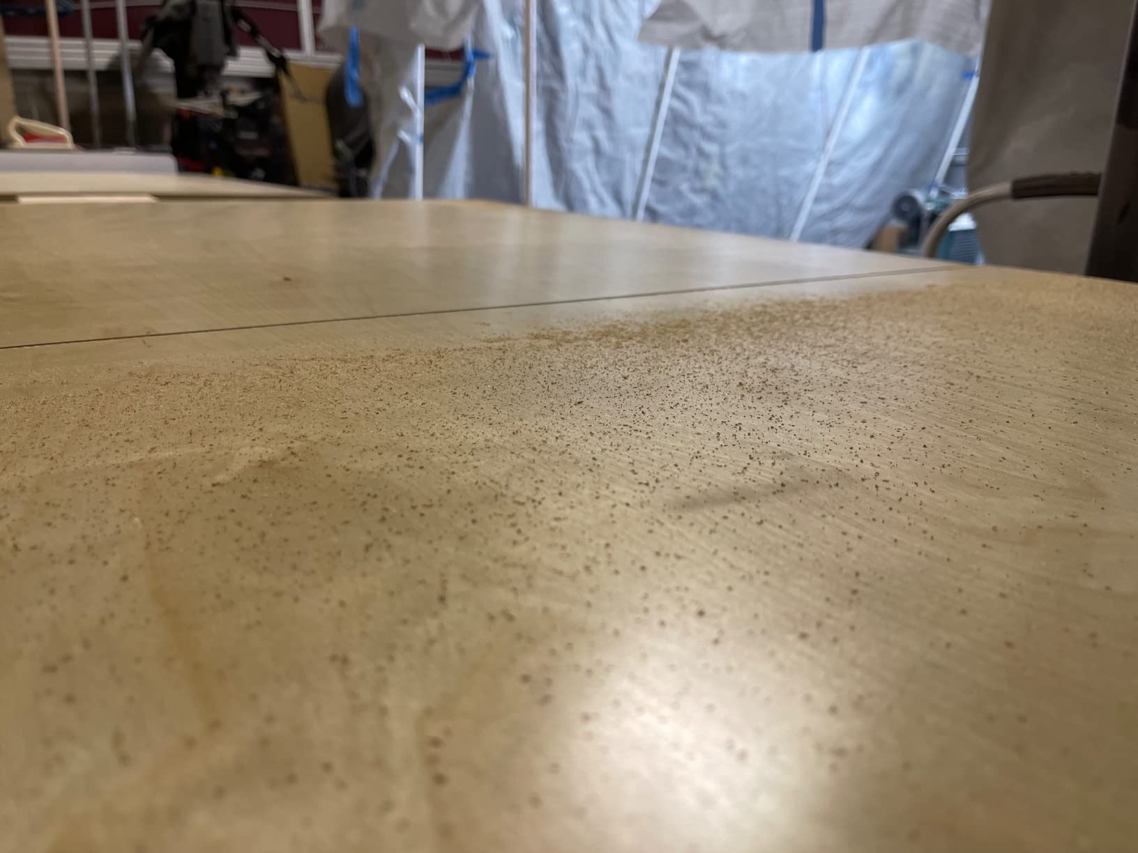Festool Plunge-Cut Track Saw TS 55 FEQ-F-Plus-FS with 55-Inch (1400mm) Guide Rail customer photo 1