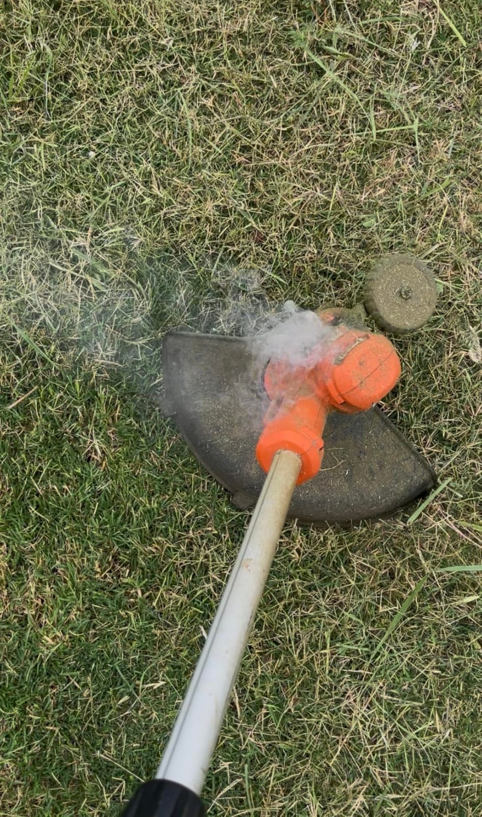 BLACK+DECKER String Trimmer, Electric, 14-inch (BESTE620) customer photo 2