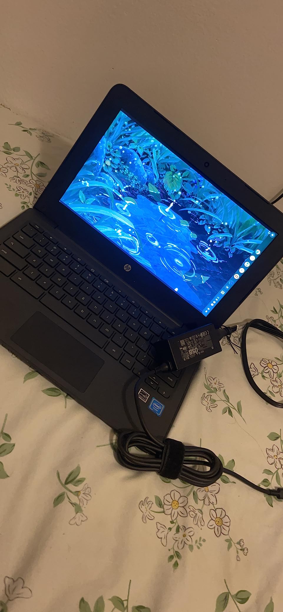 HP Flagship Chromebook, 11.6