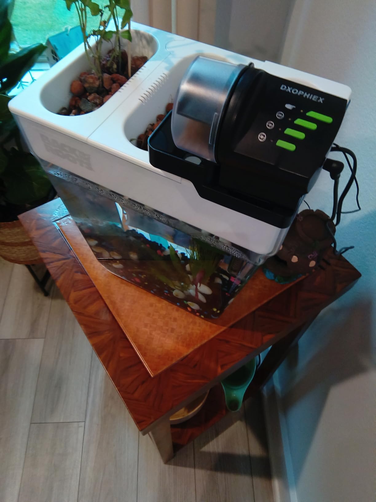 DXOPHIEX Automatic Fish Feeder Food Dispenser Vacation Fish Feeder customer photo 1