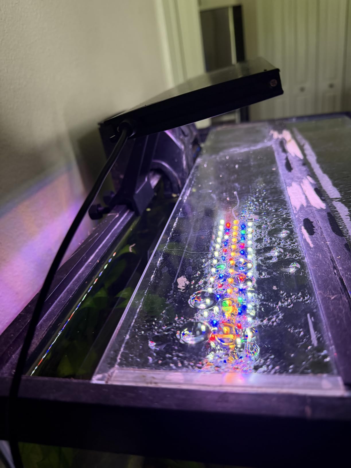hygger Clip On 24/7 Lighting Aquarium LED Light,Sunrise-Daylight-Moonlight and DIY Mode, Adjustable Timer/Brightness Fish Tank Light with 7 Colors for Planted Tank (14W for 12~20in Tank) customer photo 1
