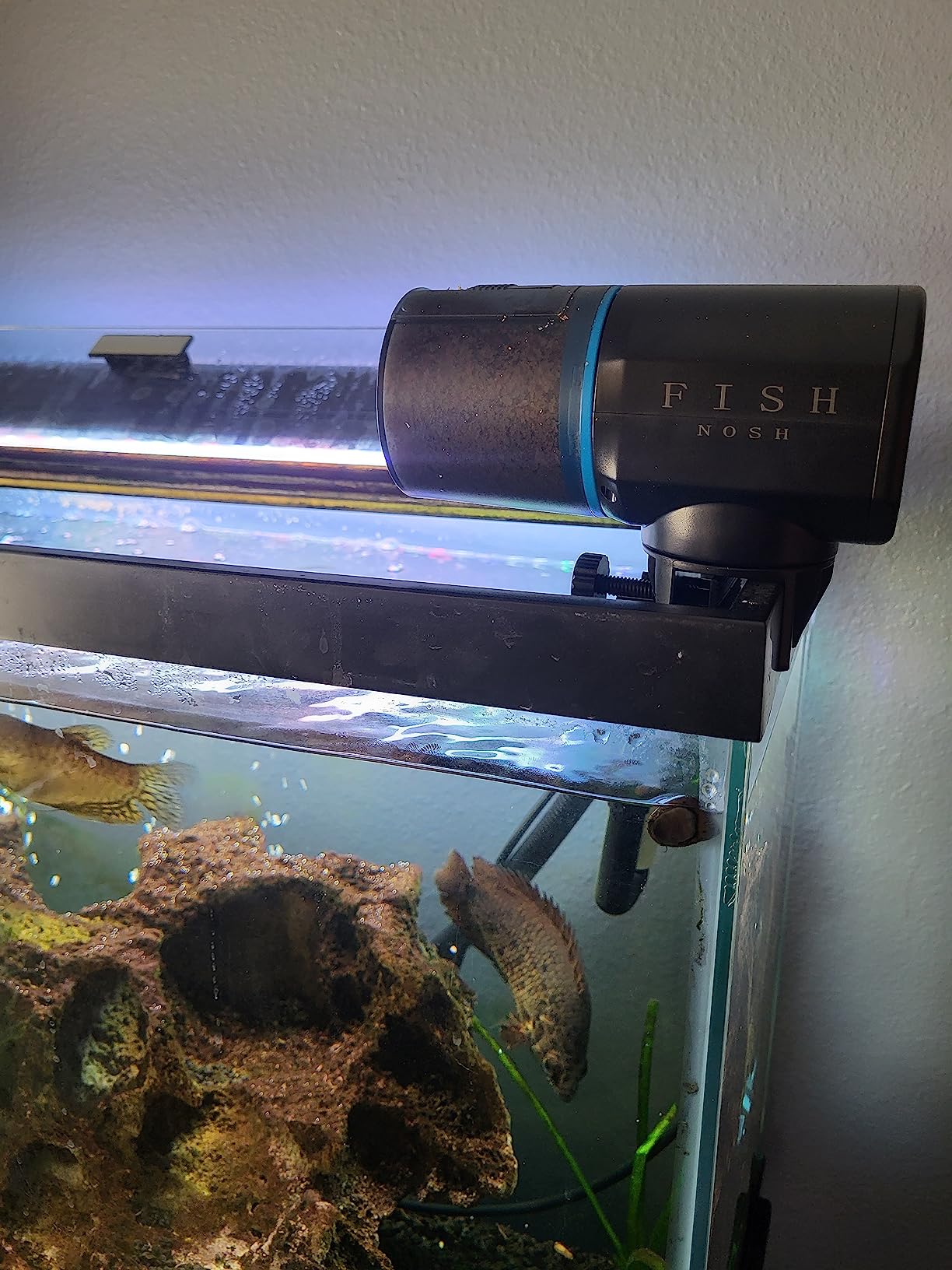 FISHNOSH Automatic Fish Feeder for Aquarium - New Generation 2026, Auto Food Dispenser with Timer for Small Tank, Big Aquariums & Pond (Blue) customer photo 2