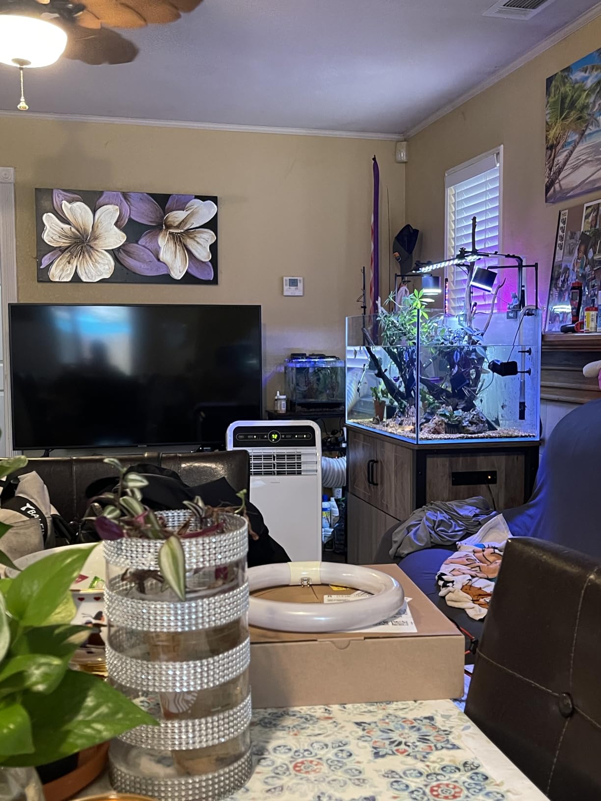 LANDEN Aquarium Cube 2 Gallon Ultra Clear Glass Rimless Fish Tank 20C customer photo 2
