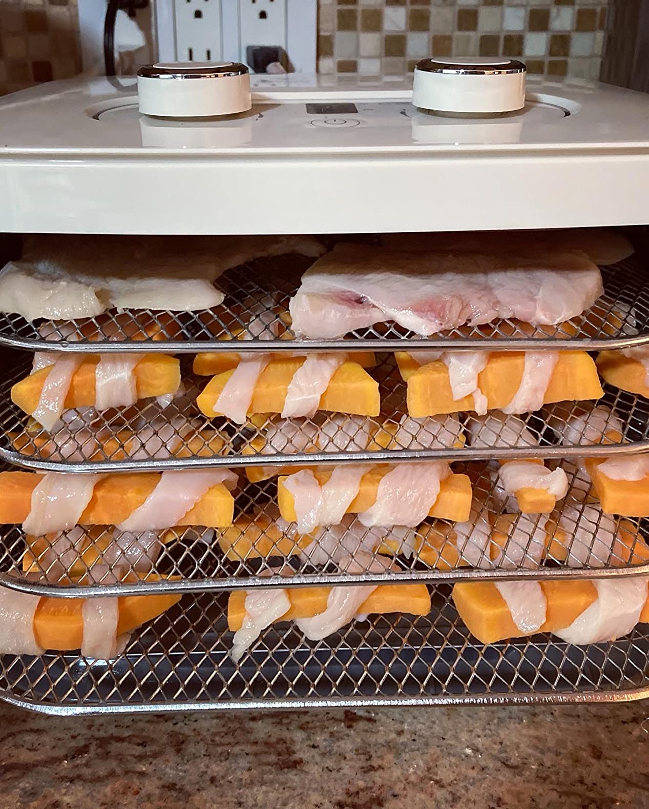 NESCO FD‑41B Snackmaster Food Dehydrator for Easy Home Snacks, Simple Blue Countertop Dehydrator with 4 Trays customer photo 2