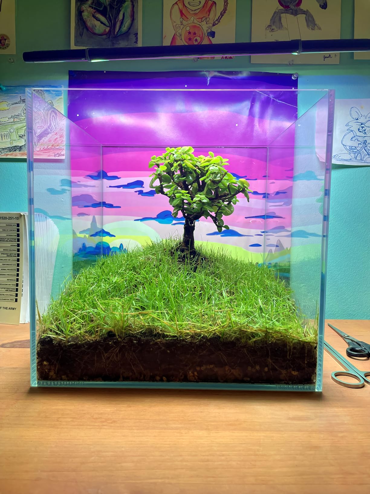 Cube Rimless Frameless Extra Clear All Glass Aquarium, Low Iron Glass Tank, 5mm Glass, White Leveling Mat Included, w/Lids Options customer photo 1