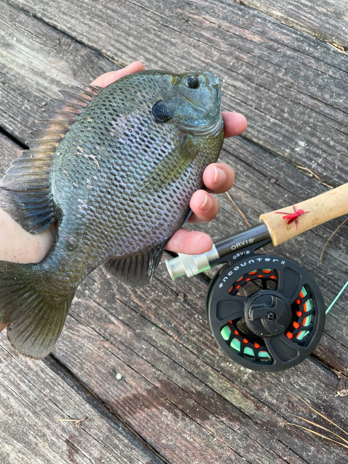 Orvis Encounter Fly Rod Outfit - 4Pc Fishing Rod and Reel Combo customer photo 2