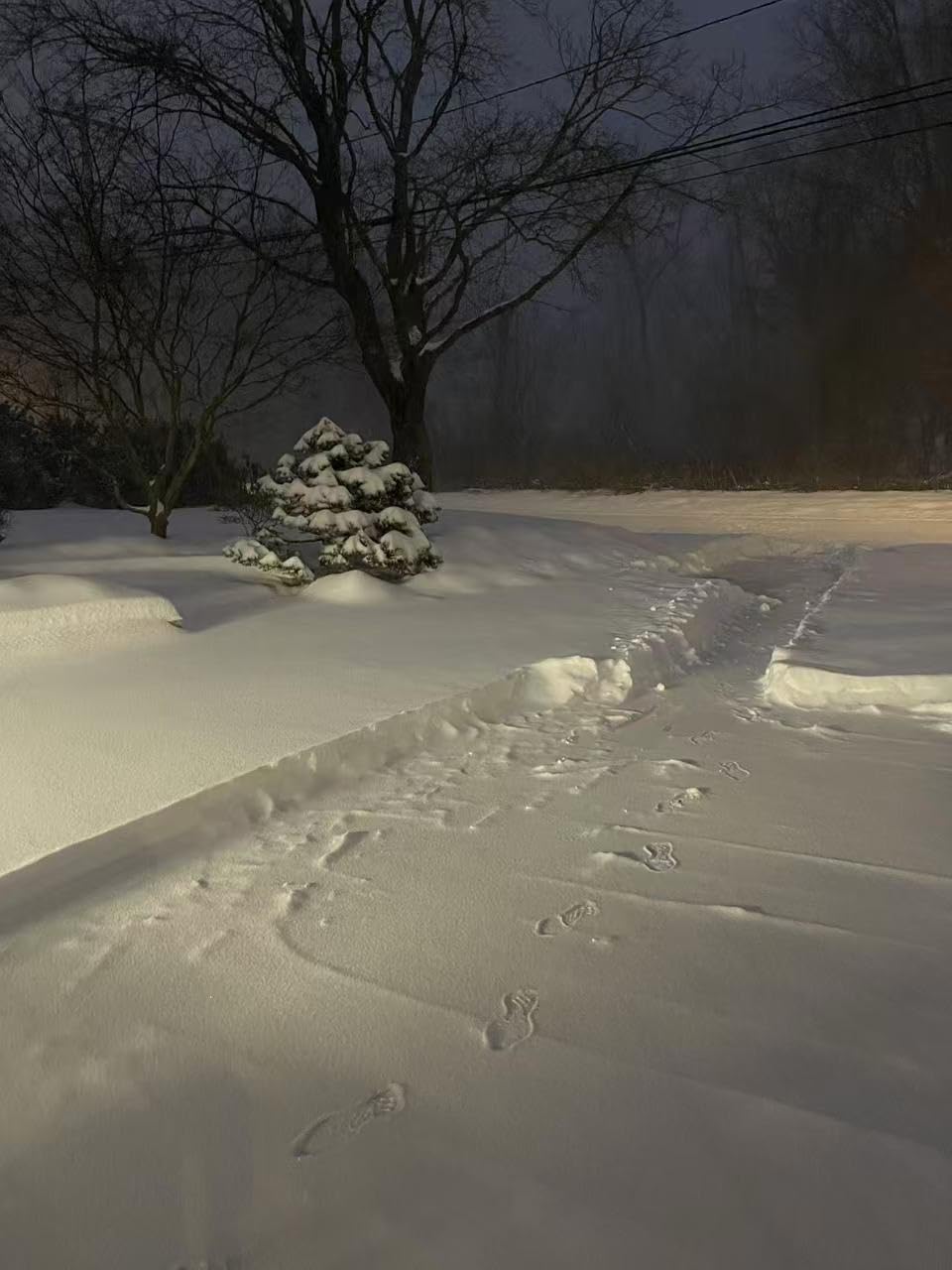 Snow Joe 24V Cordless Snow Shovel Kit with Cover and Scraper, 24V-SS13-TV1 customer photo 2