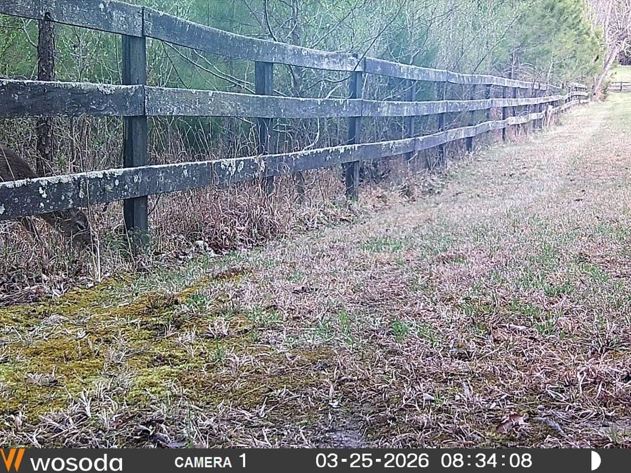 WOSODA 2 Pack Trail Cameras with Night Vision Motion Activated Waterproof,48MP Hunting Game Camera,1080P HD Trail Cam for Wildlife Monitoring,Outdoor Scouting & Security(Non-Cellular Non-WiFi) customer photo 1