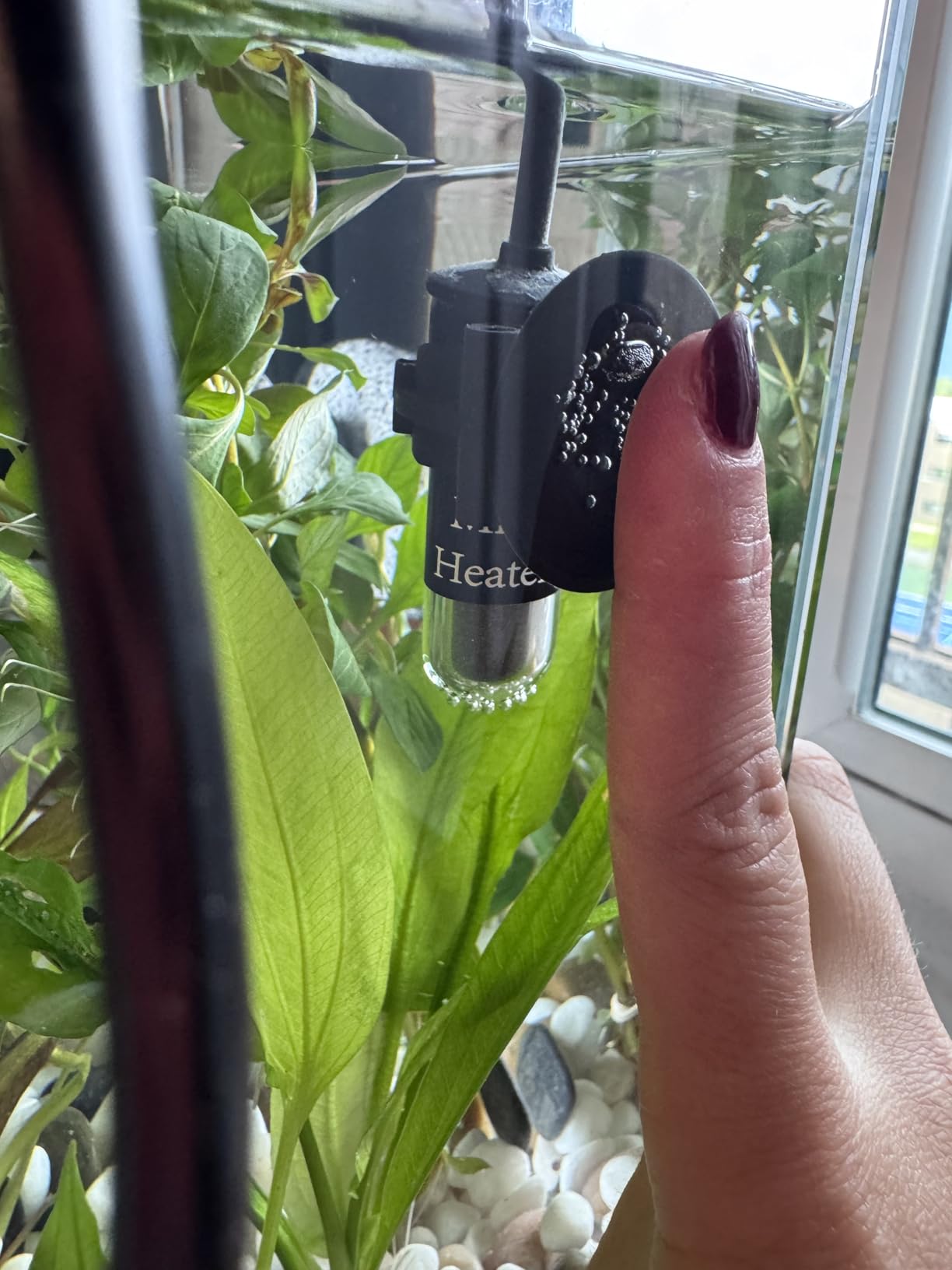 AquaMiracle 5V/2A USB 10W Super Mini Aquarium Betta Heater for Tanks up to 1 Gal customer photo 1