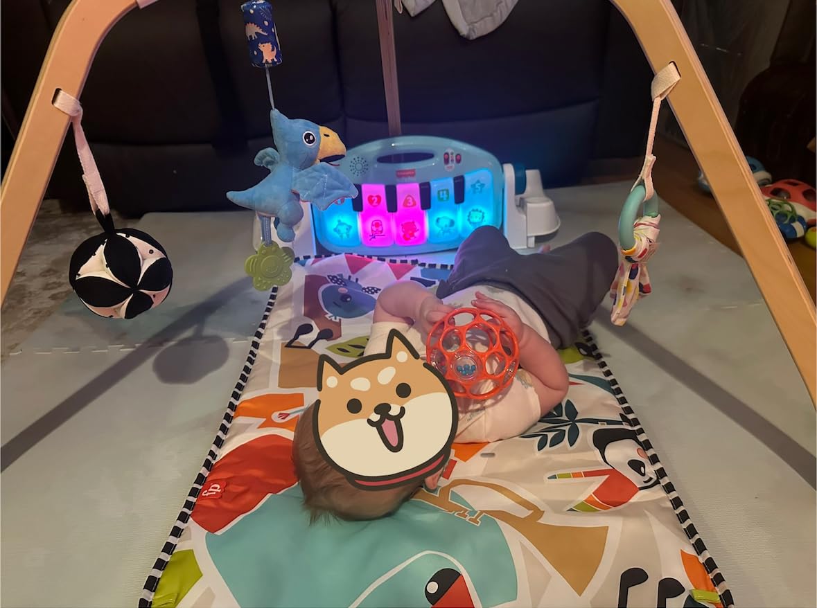 Fisher-Price Kick & Play Piano Gym, Navy Fawn customer photo 2