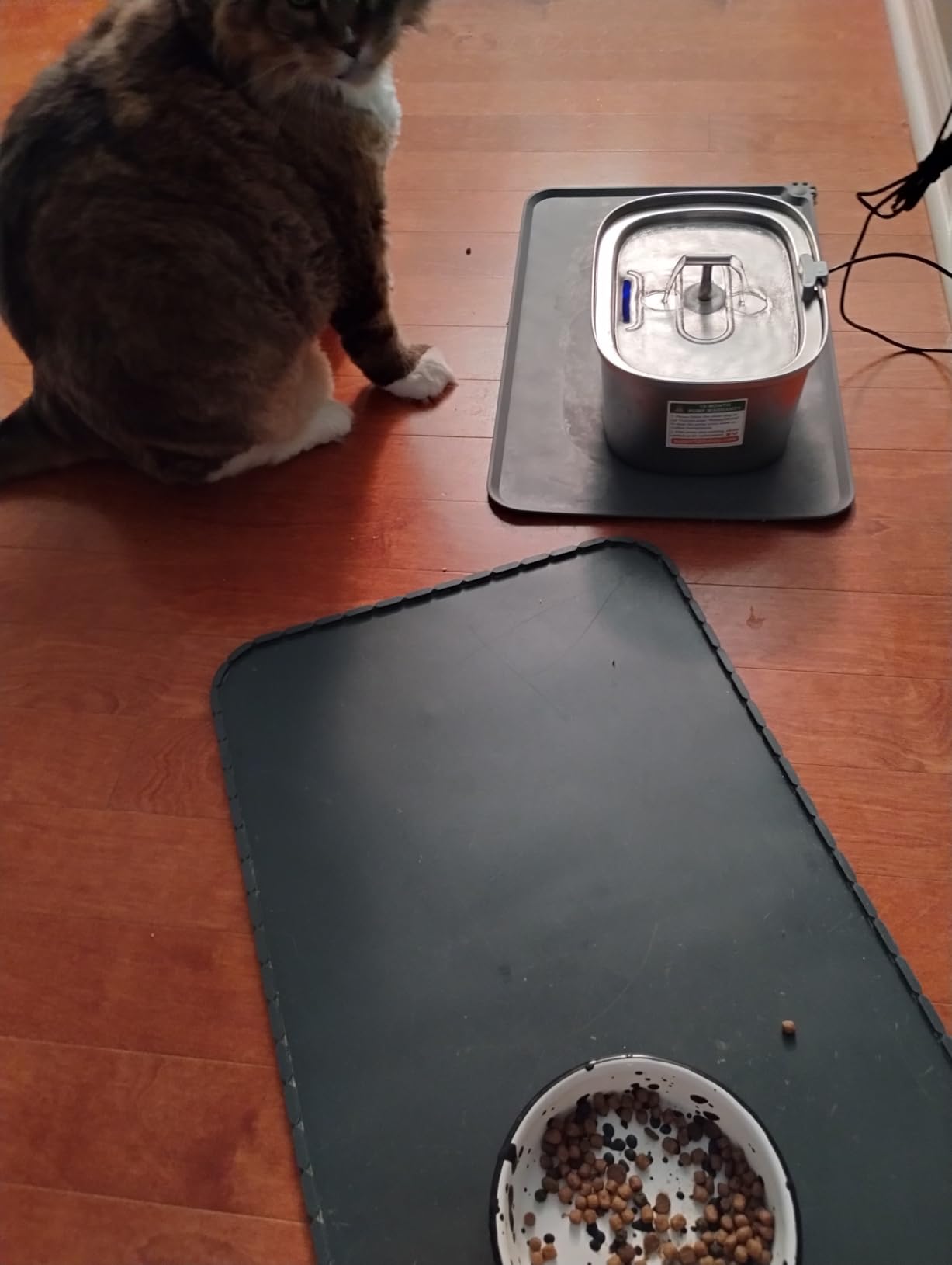 Cat Water Fountain Stainless Steel: Rellaty 3.2L/108oz Pet Water Fountain customer photo 1