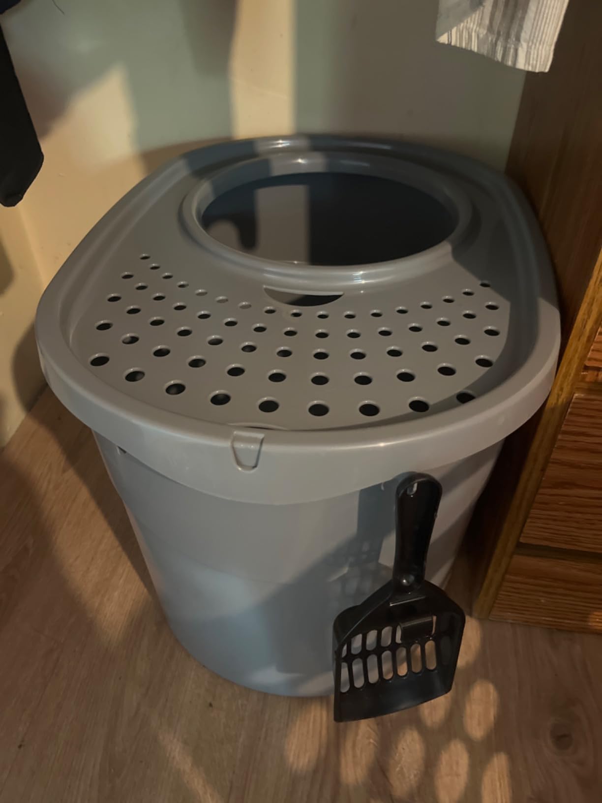 Amazon Basics Large Cat Litter Box with High Sides, Top Entry, Odor Control, Includes Scoop, 20.5 x 14.75 x 14.38 inches, Grey customer photo 2