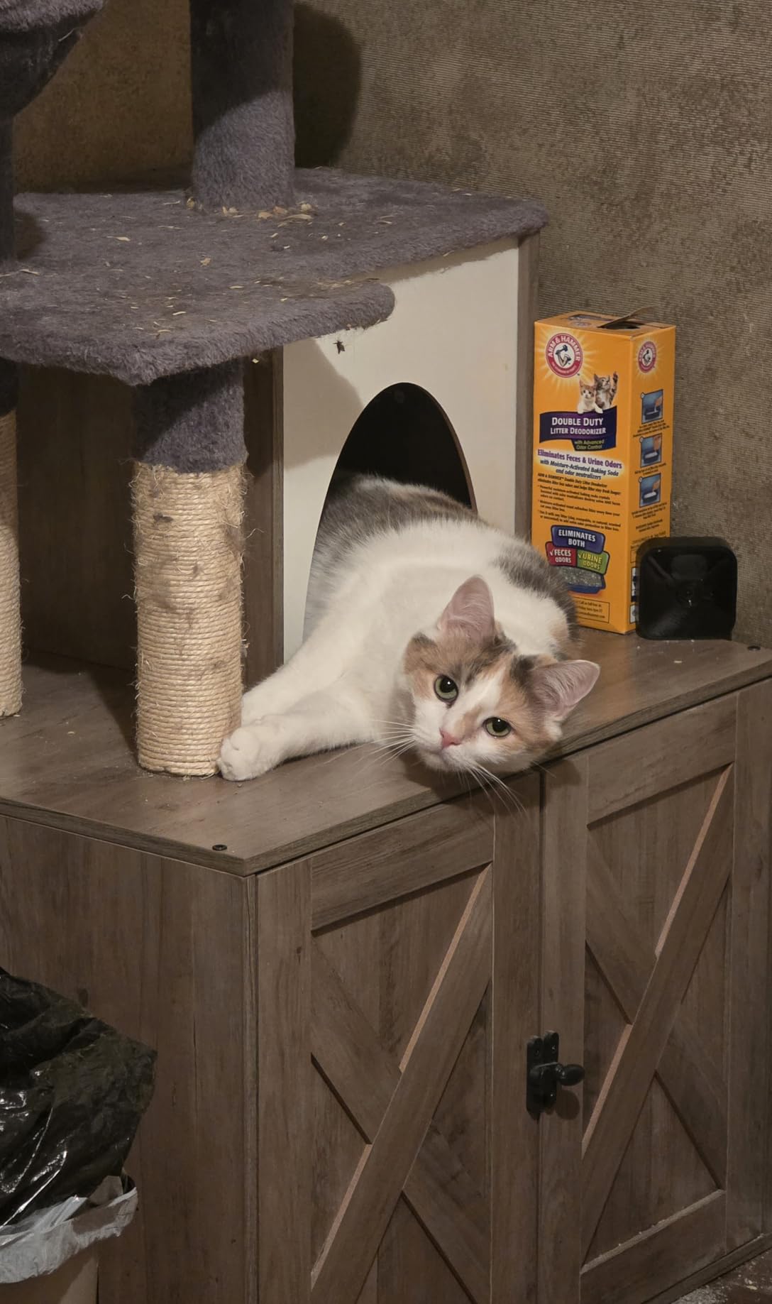 Snughome Cat Litter Box Enclosure with Tree Tower and Condo, Hidden Washroom Furniture with Sisal Scratching Post and Soft Plush Perch, Wooden Cat Furniture with Multiple Platforms, Grey customer photo 1