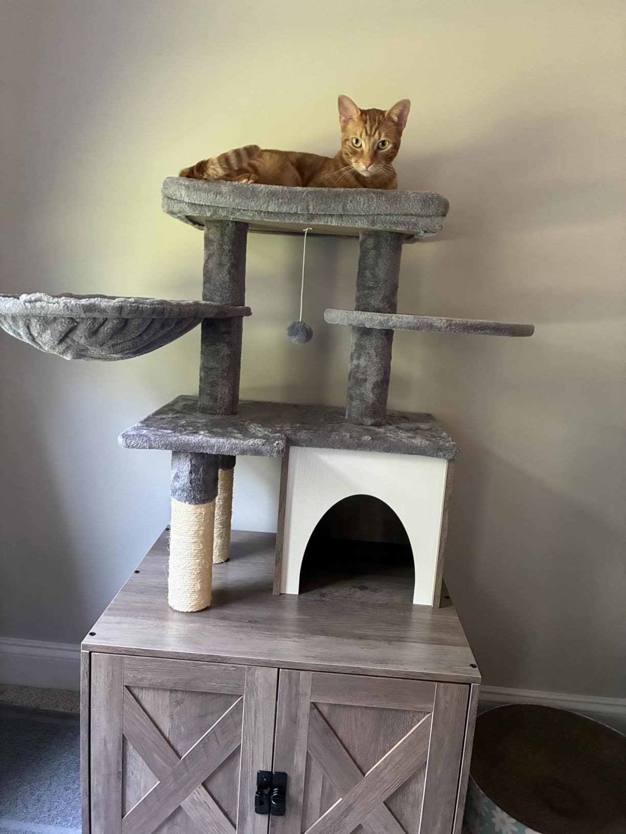 Snughome Cat Litter Box Enclosure with Tree Tower and Condo, Hidden Washroom Furniture with Sisal Scratching Post and Soft Plush Perch, Wooden Cat Furniture with Multiple Platforms, Grey customer photo 2