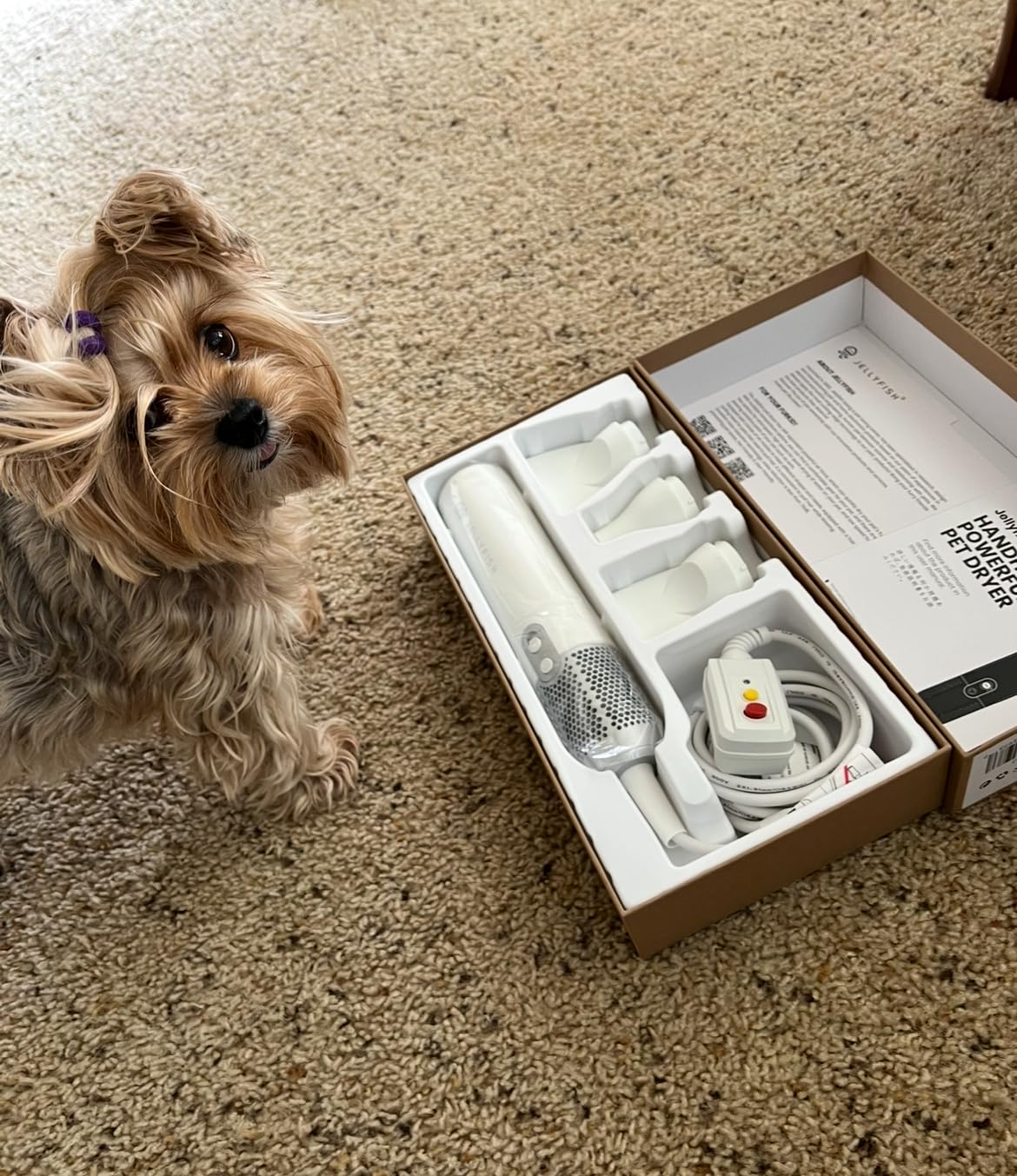 Jellyfish Handheld Dog Dryer - 1.21lb Lightweight, 2 Speeds, 4 Temp, Portable High Velocity Blow Dryer for Travel & Home customer photo 2