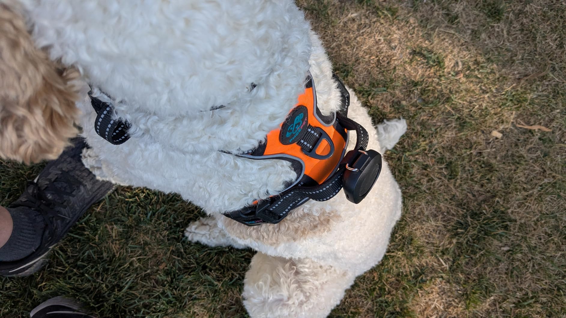 Aorkuler GPS Dog Tracker – No Phone, No Signal, No Subscription | Real-Time Direction & Distance Up to 3.5 Miles | Built for Hiking, Farms & Off-Grid Adventures (Tracker 2) customer photo 2