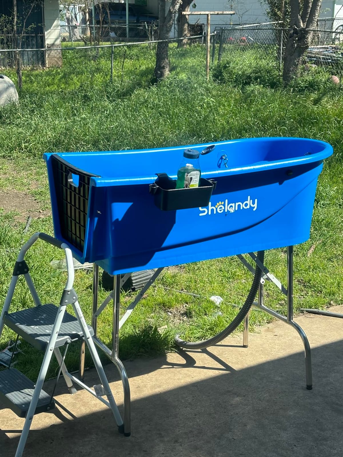 SHELANDY 45