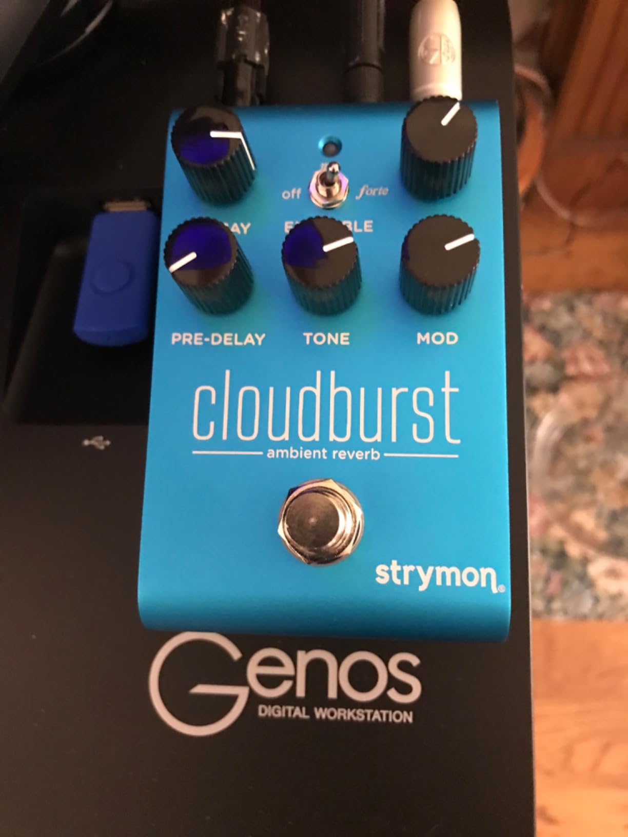 Strymon Cloudburst Ambient Reverb Pedal customer photo 1
