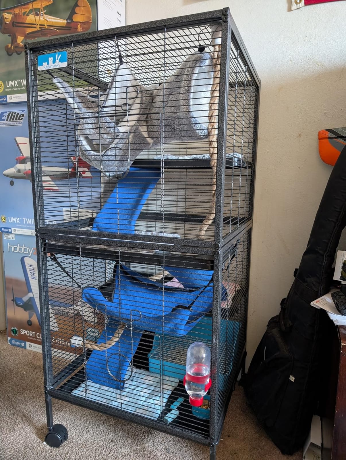 HABUTWAY 50''H Metal Small Animal Cages, Rolling Chinchilla Cage with Removable Ramps, Lagre Cage for Chinchillas/Guinea Pigs/Rabbit, Ferret Cages with Hammock & 5 Tiers, Black customer photo 2