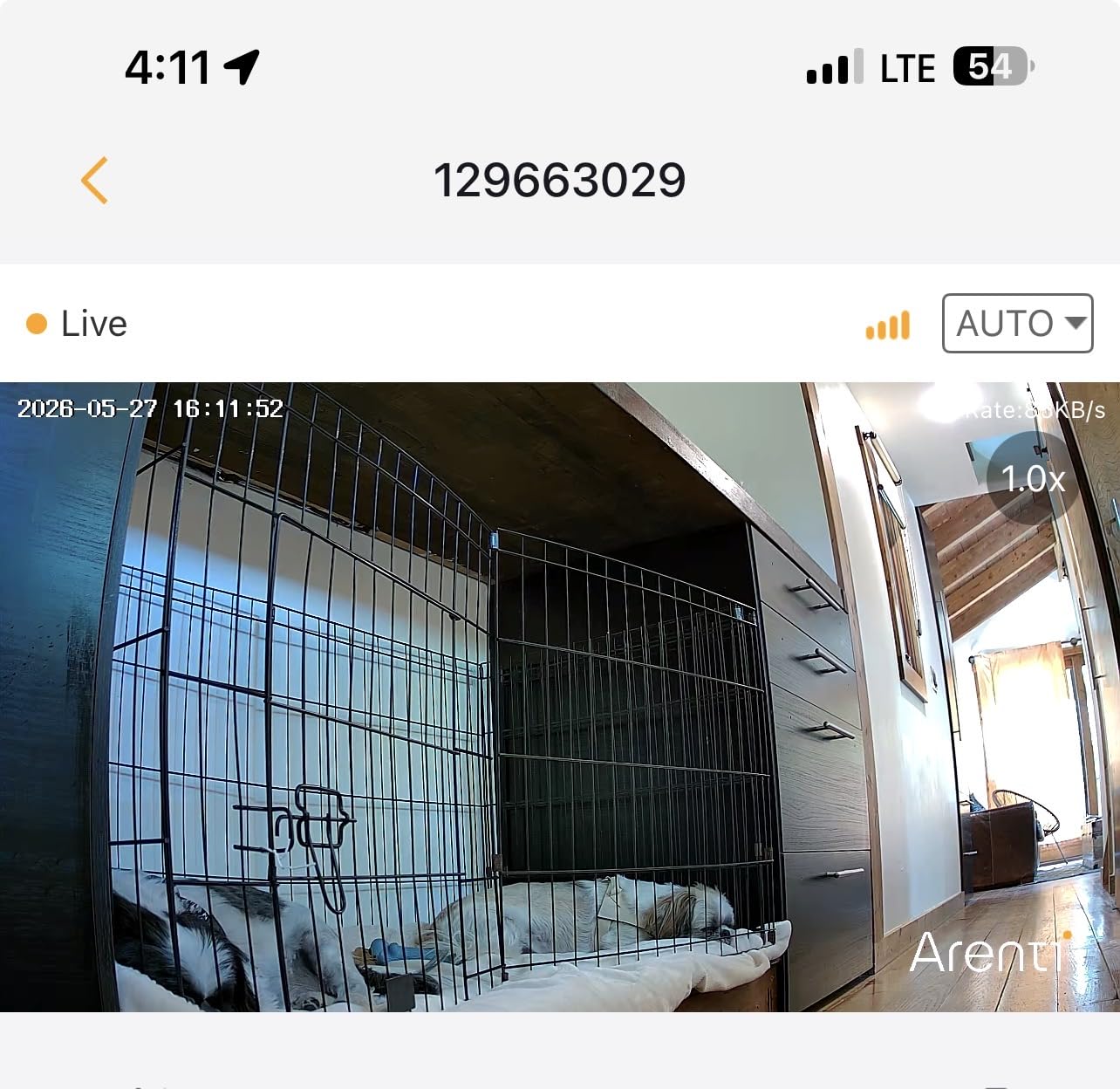 ARENTI 4MP Pet Camera P2Q, 5G WiFi 6 Indoor Security Camera, Free Phone App customer photo 2