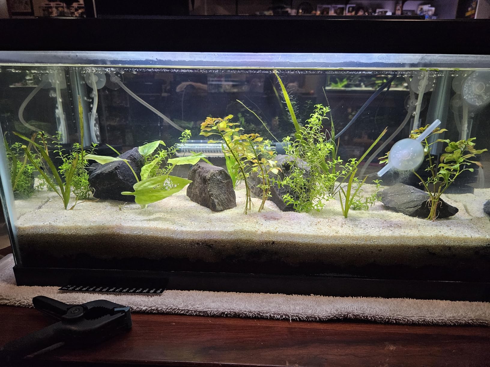 NICREW C10 Plant Aquarium Light, 30-36 in, 20W, Full Spectrum with Timer customer photo 1