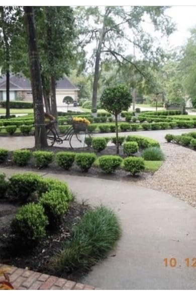 Saker 20V Cordless Hedge Trimmer,2 in 1 Bush Trimmer with 2 Battery customer photo 2