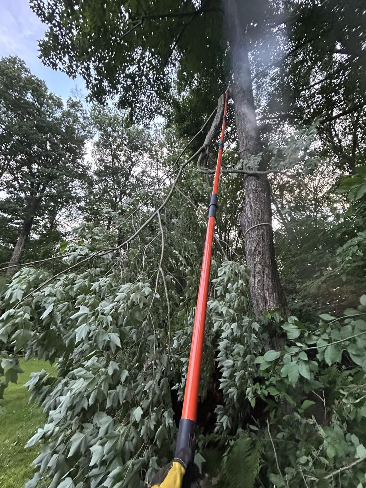 VEVOR Manual Pole Saw, 7.3-27 ft Extendable Tree Pruner, Sharp Steel Blade and Scissors High Branches Trimming, Branch Trimmer with Lightweight 8 Fiberglass Handles, for Pruning Palms and Shrubs customer photo 1