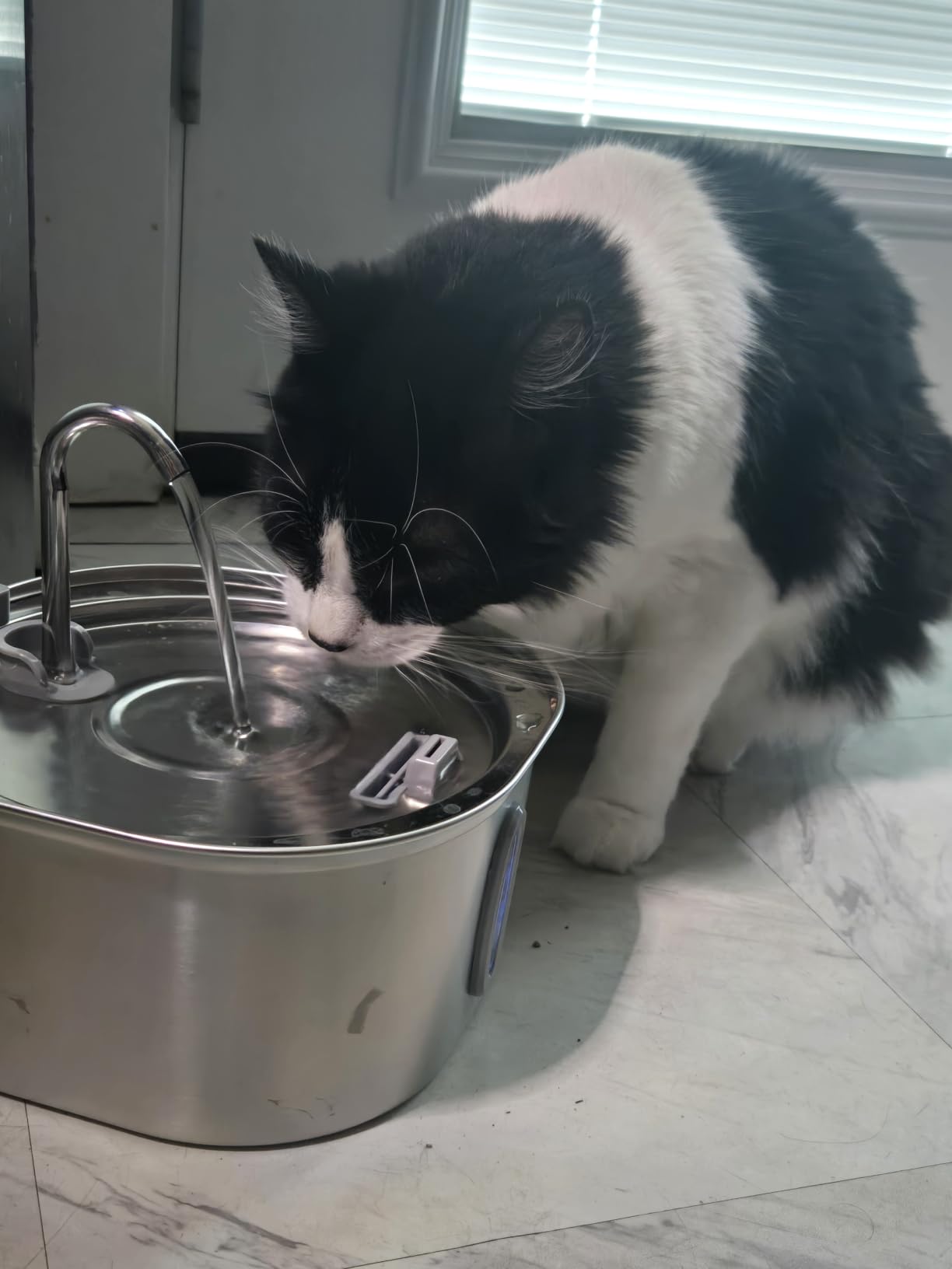 PEKTACO Cat Water Fountain, 3.2L/108oz Stainless Steel Pet Water Fountain customer photo 2