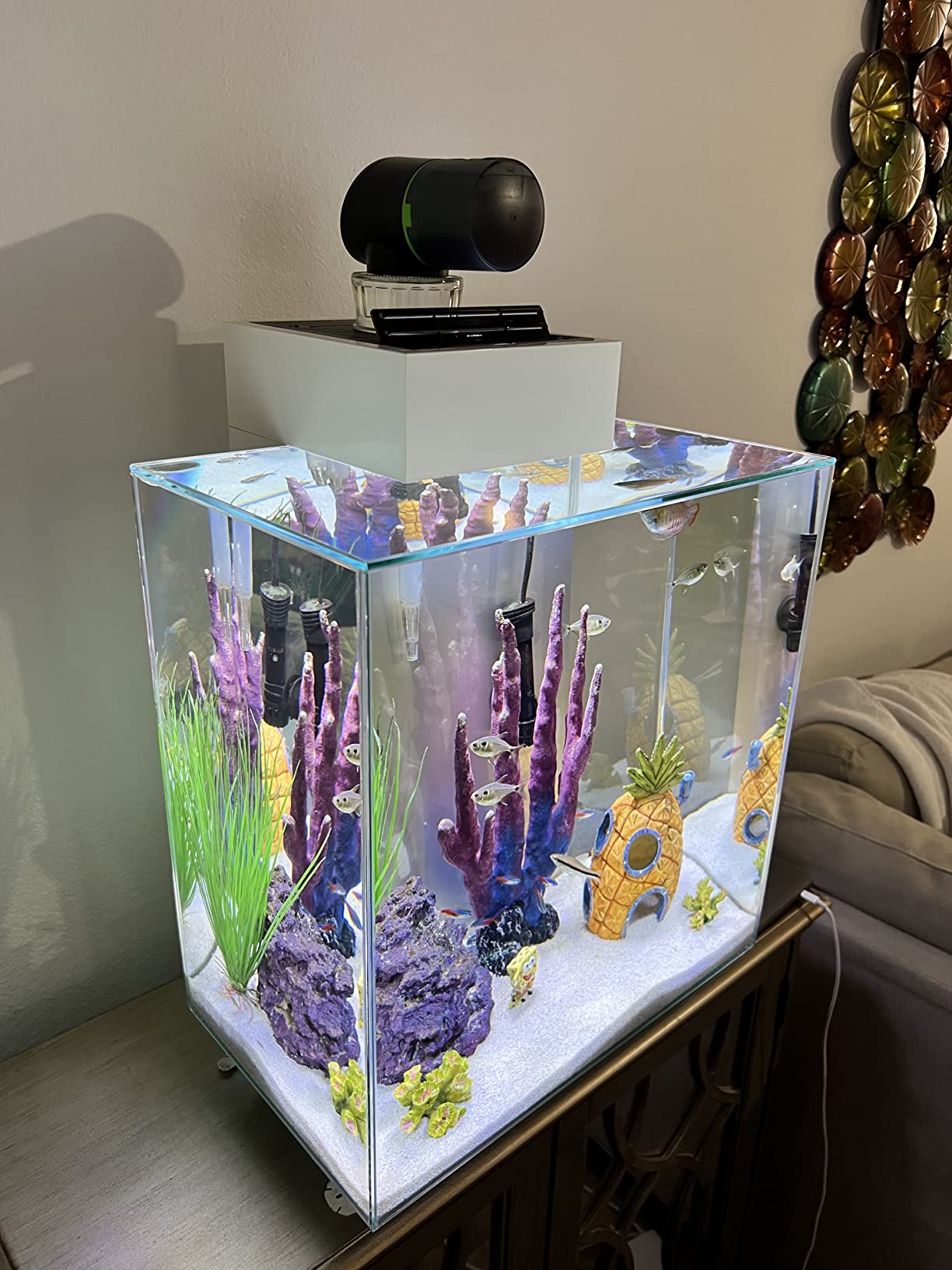 Automatic Fish Feeder for Aquarium Easy Setup & 4 Timers Black customer photo 1