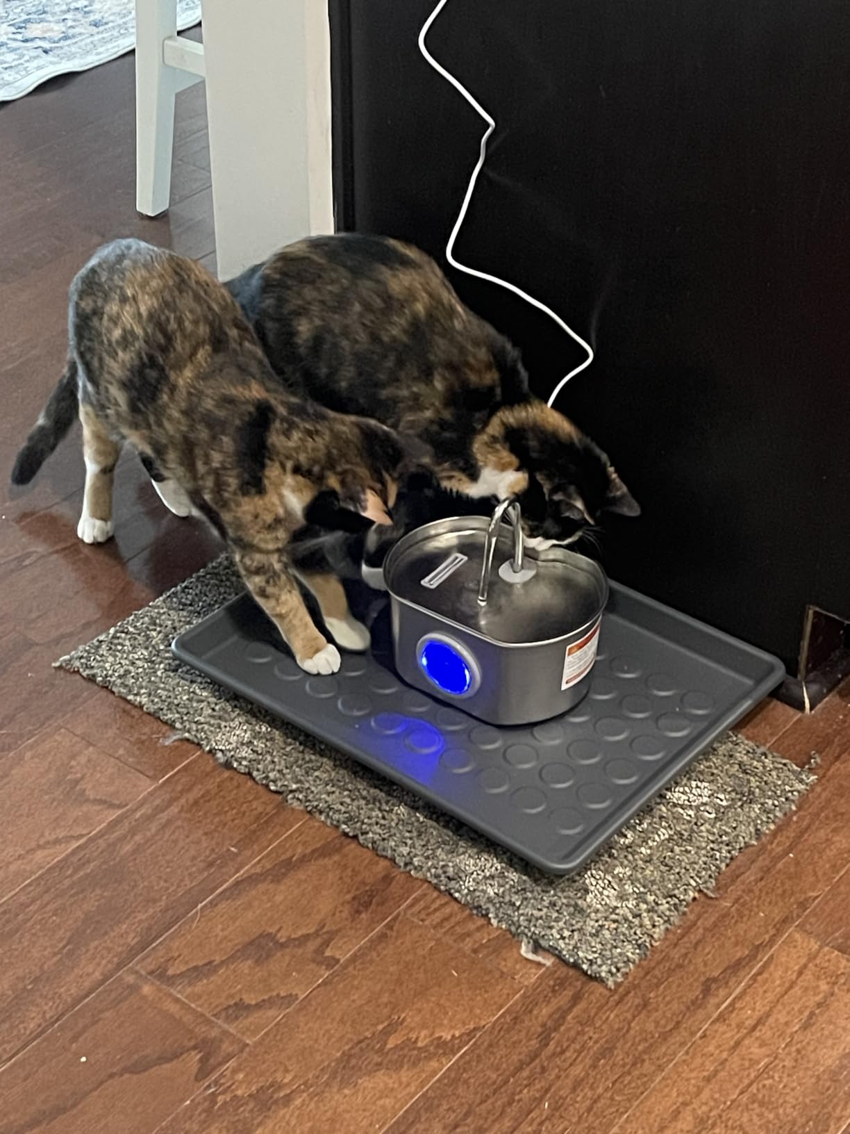 Cat Water Fountain Stainless Steel: 108oz/3.2L Cat Fountain for Drinking customer photo 1