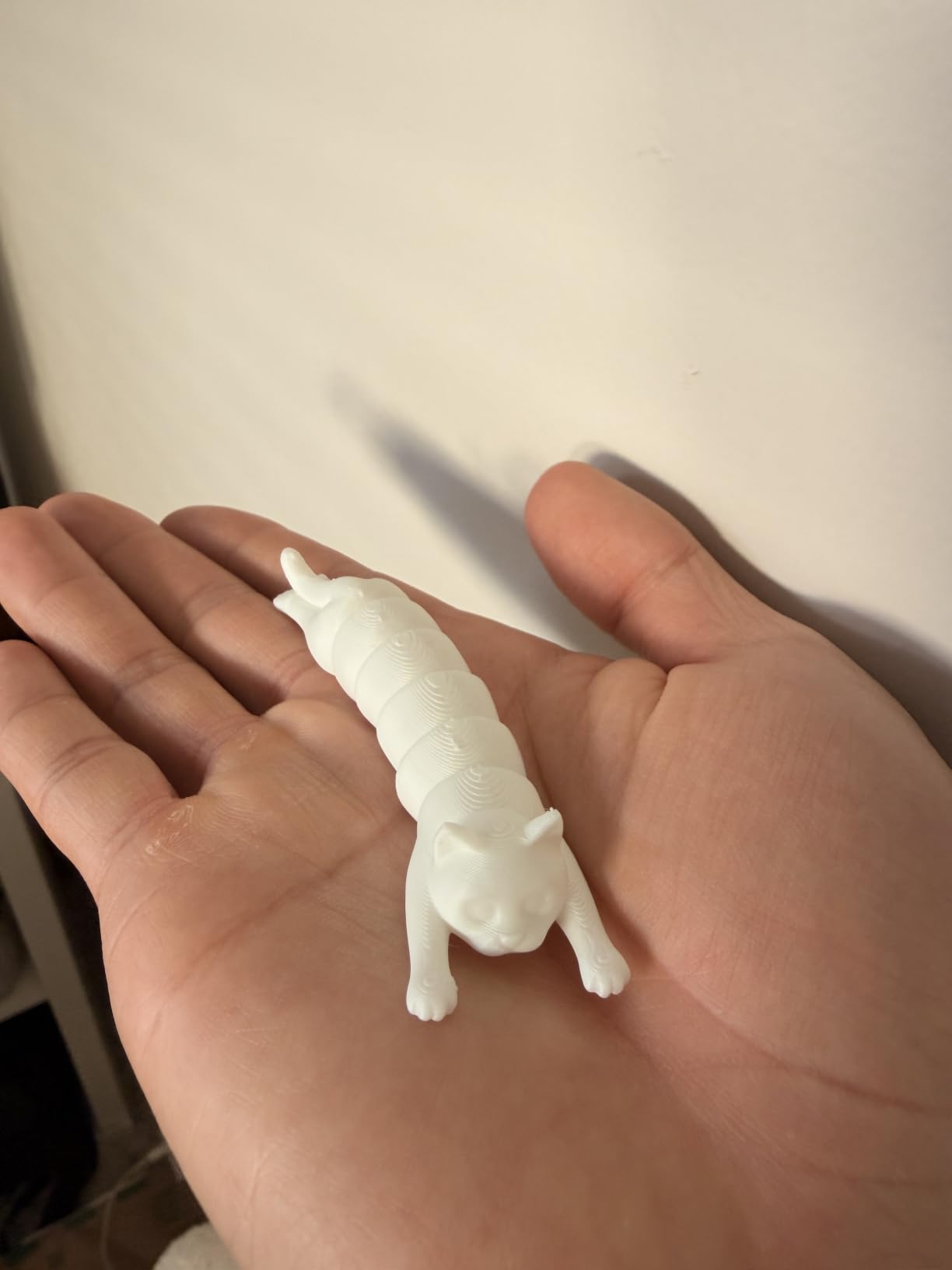 TINA2S Fully Assembled Mini 3D Printer for Kids and Beginners, Starter Kit customer photo 1