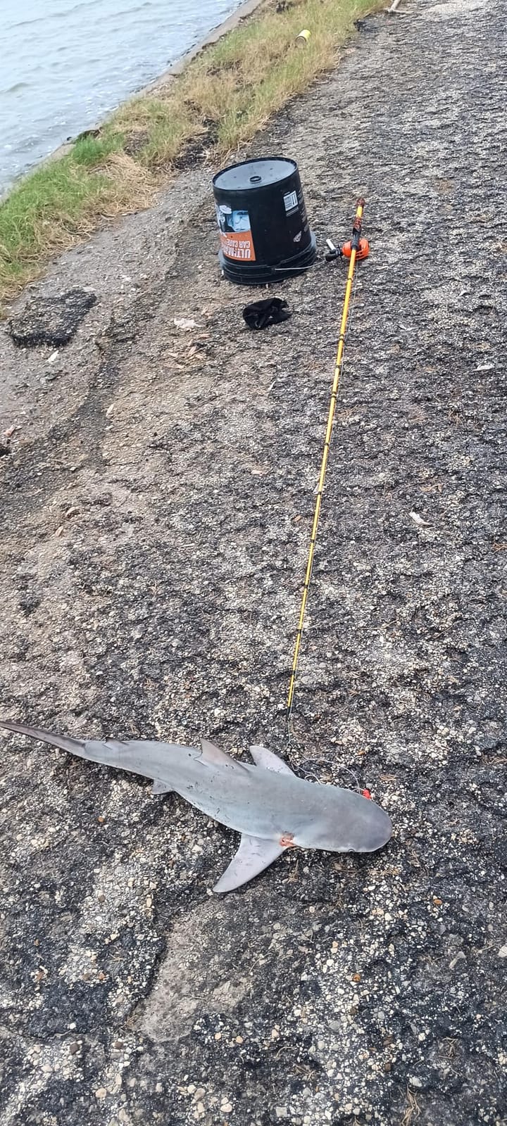 Sougayilang Baitcaster Combo, IM7 Graphite 2Pc Blank Rods,M/MH Power,EVA Handle & Stainless Steel Guides,7.1:1 Gear Ratio, 18LB Drag for Bass, Walleye, Pike customer photo 1