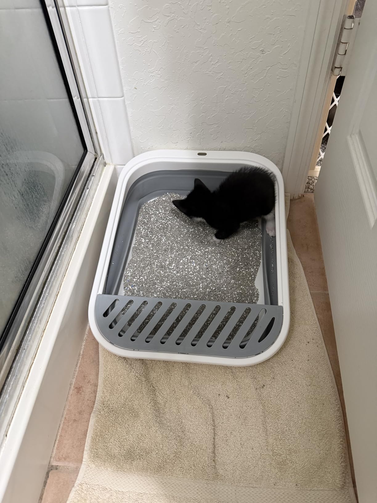 Collapsible Kitten Litter Box Low Entry Small Cat Litter Box M customer photo 1