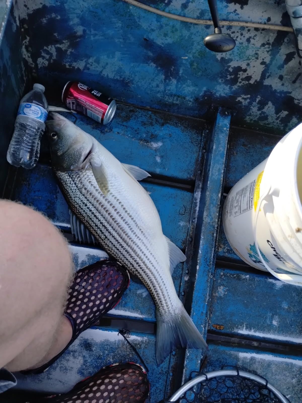 Penn Wrath II Spinning Reel and Fishing Rod Combo customer photo 1