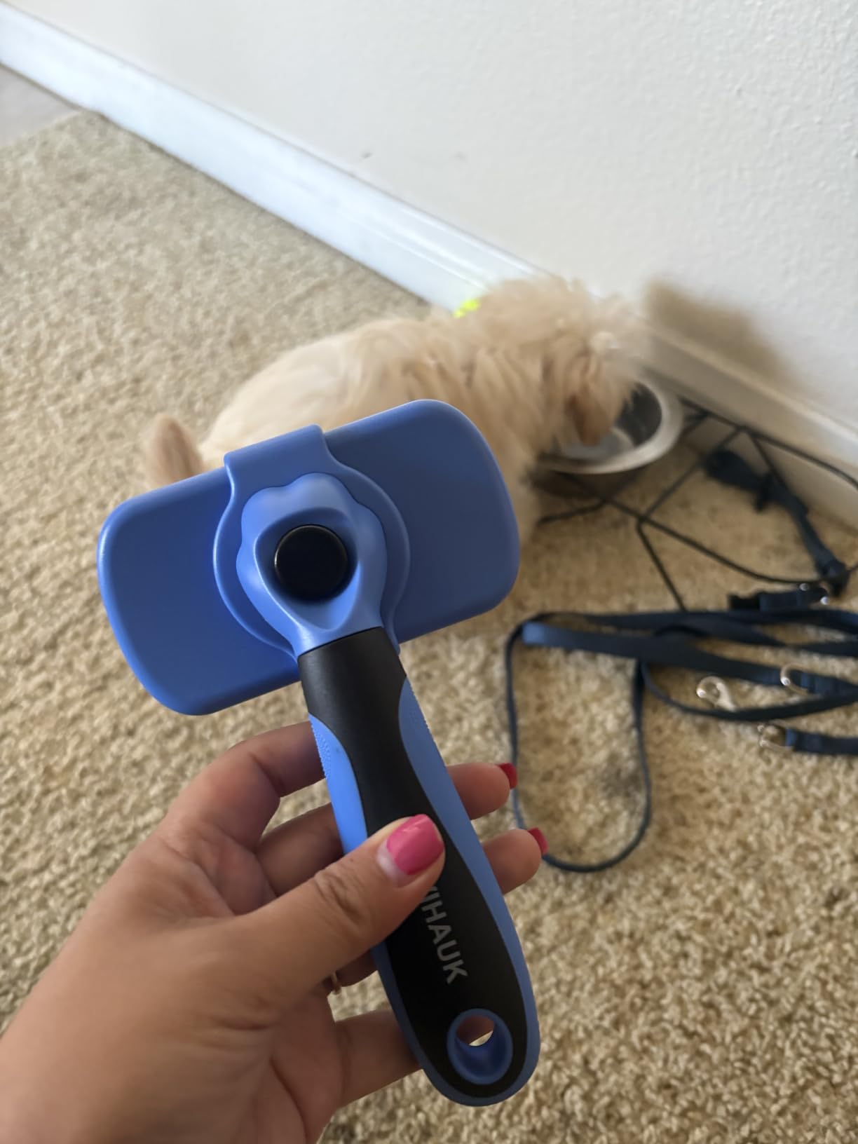 Swihauk Self Cleaning Slicker Brush for Dogs & Cats - Skin Friendly Deshedding and Grooming Brush for Haired Pets, Pet Supplies Accessory, Black customer photo 2