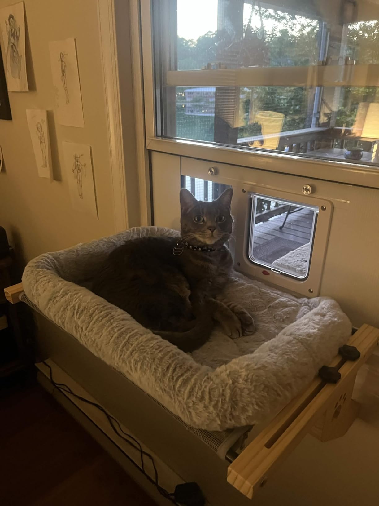 AMOSIJOY Wooden Cat Windowsill Perch with Zipper Cushion Bed, 21.7in customer photo 1