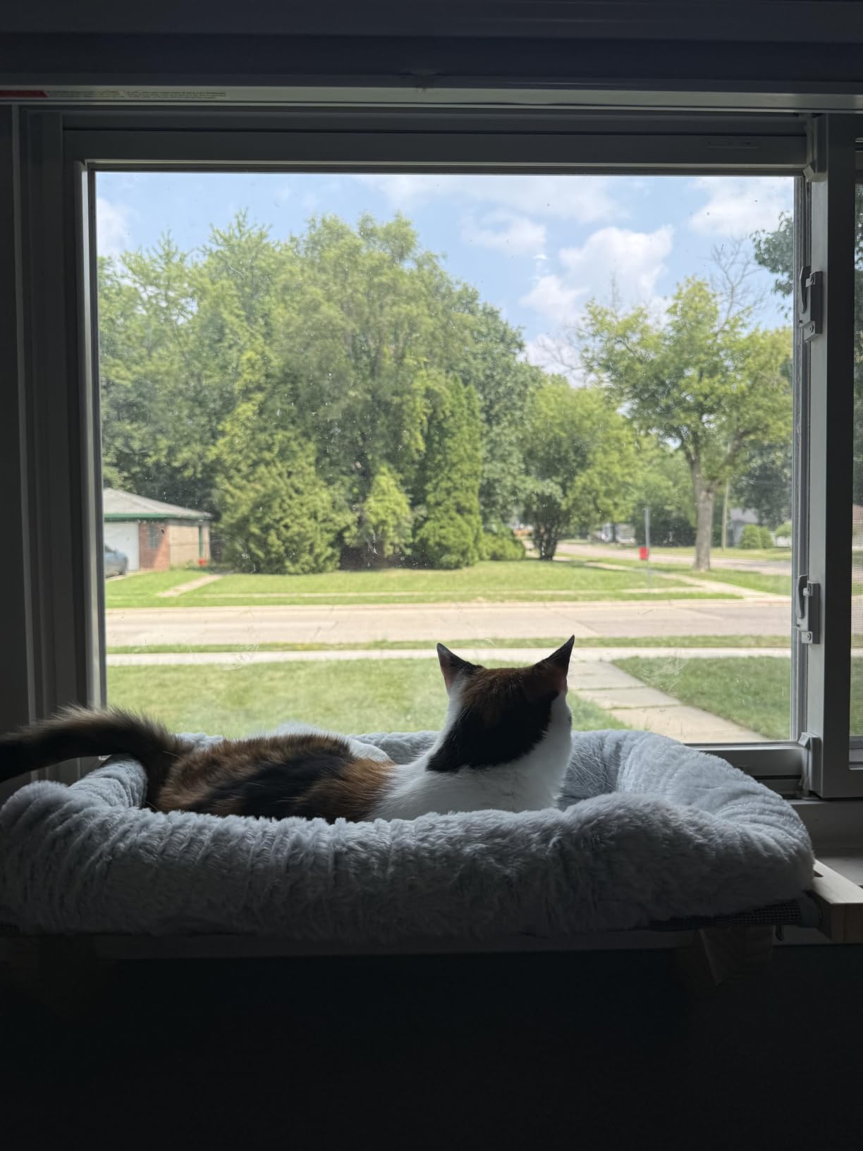 AMOSIJOY Wooden Cat Windowsill Perch with Zipper Cushion Bed, 21.7in customer photo 2