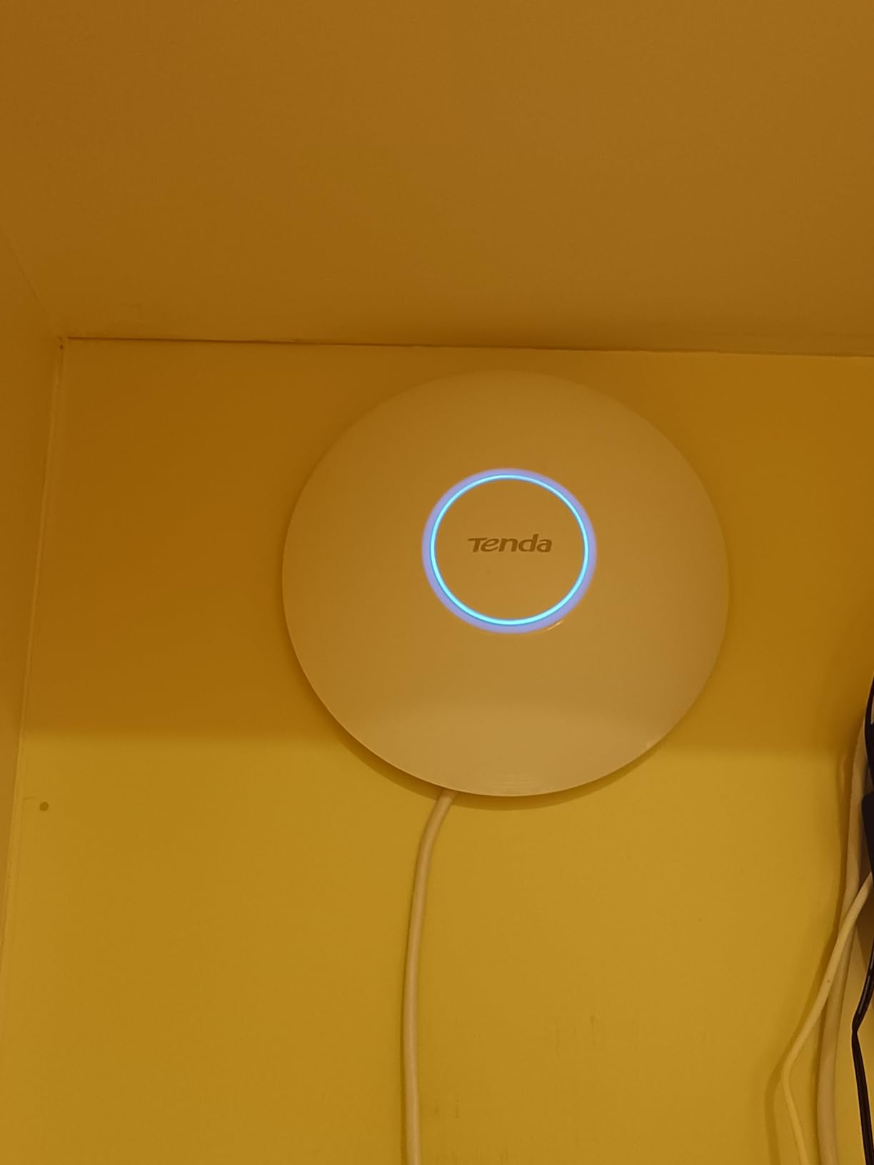 Tenda WiFi 6 AX3000 Wireless Access Point | Dual Band WAP for Business/Home customer photo 2