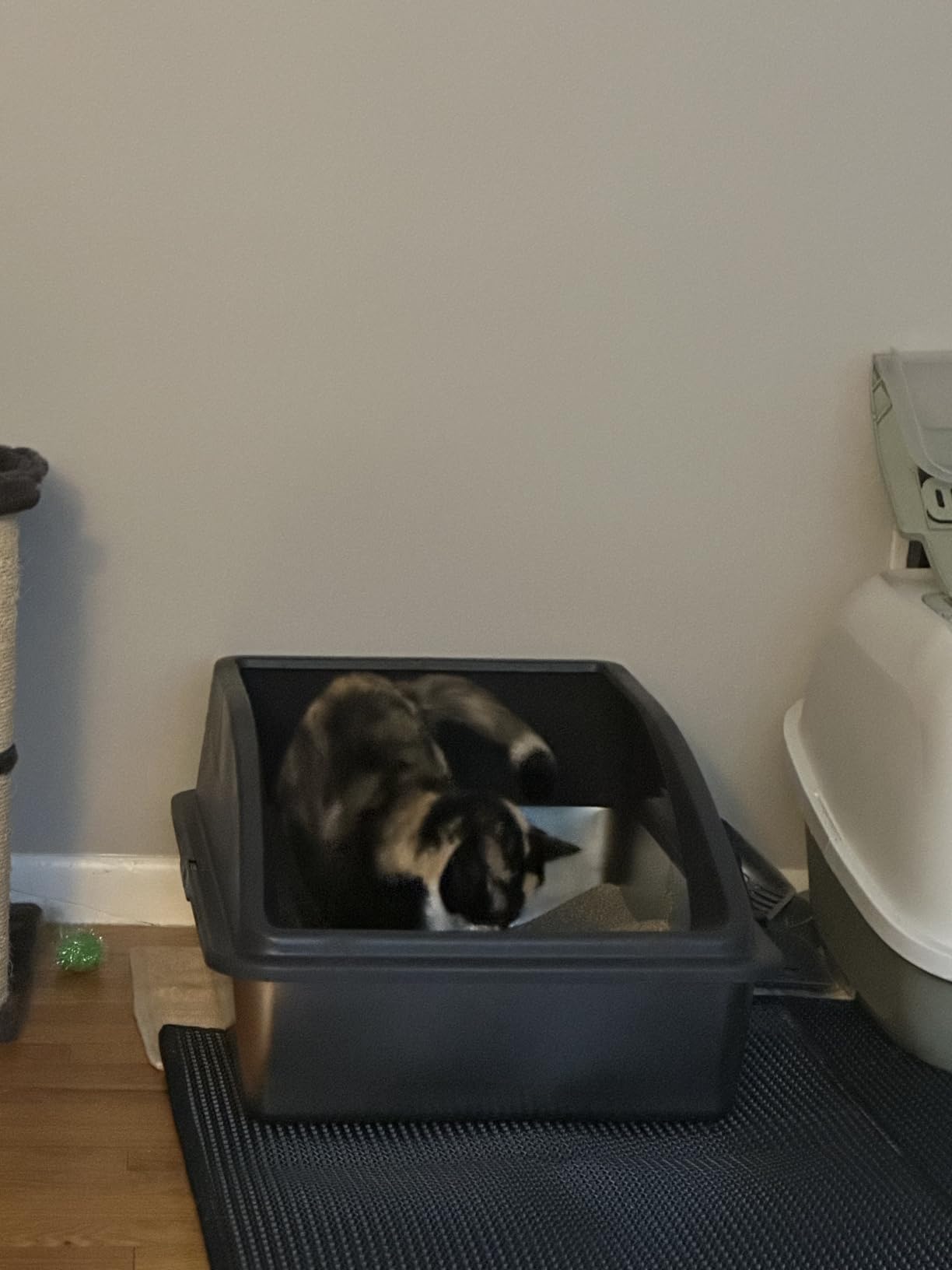 AIPERRO Stainless Steel Litter Box | XL Enclosed Cat Litter Boxes with Lid customer photo 2