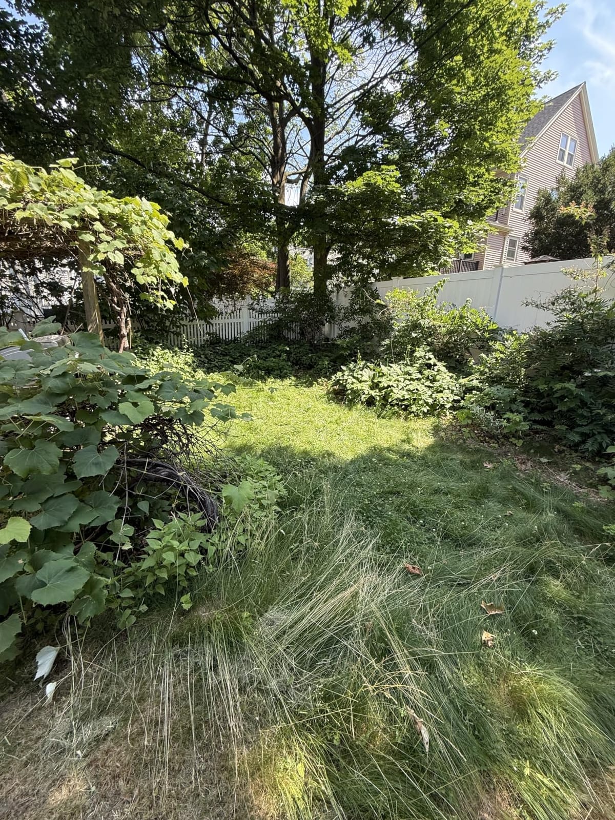 LawnMaster 48V MAX 19-inch Brushless Cordless Lawn Mower, CLMF4819X customer photo 2